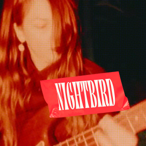 nightbird_72